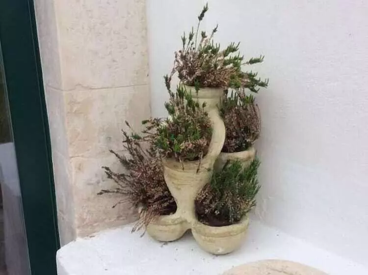 Aamiaismajoitus (B&B) Casa Adele   Dimora Del 1700 Nel Centro Storico