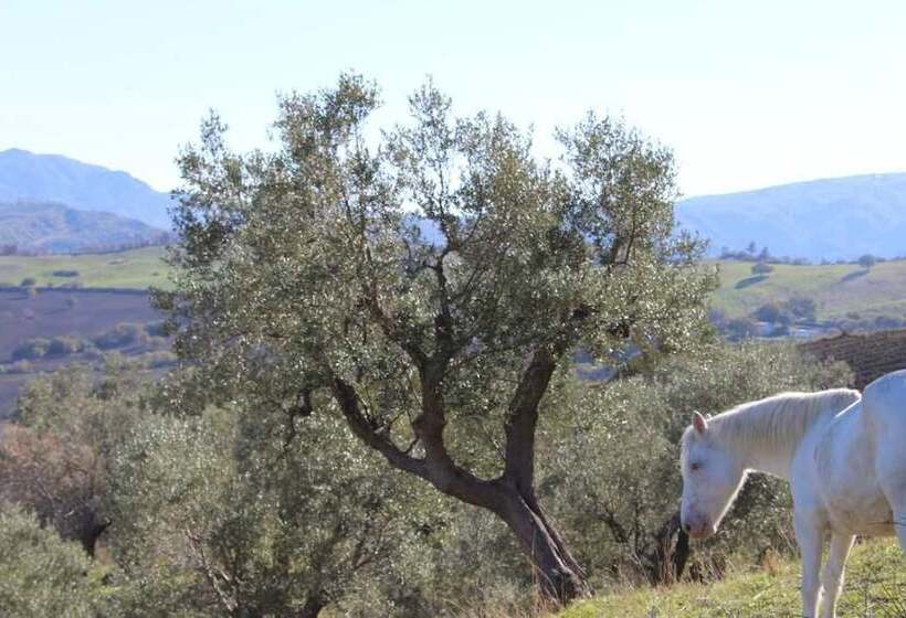 Bed and Breakfast Villa El Sa