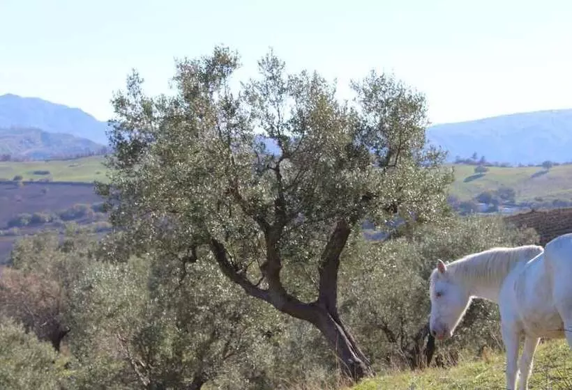 Aamiaismajoitus (B&B) Villa El Sa