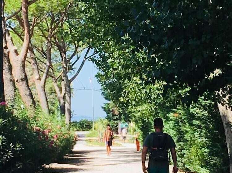 هتل Camping Campo Al Fico
