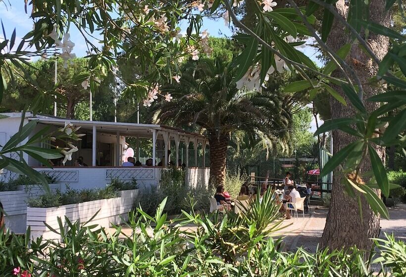 هتل Camping Campo Al Fico