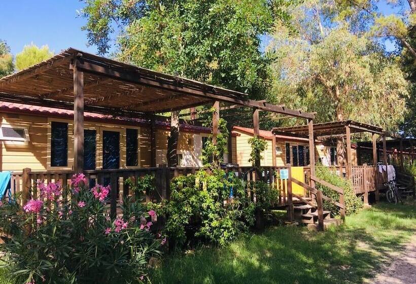 هتل Camping Campo Al Fico