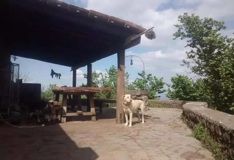 田舎風ホテル Agriturismo La Caraffara Sull  Etna