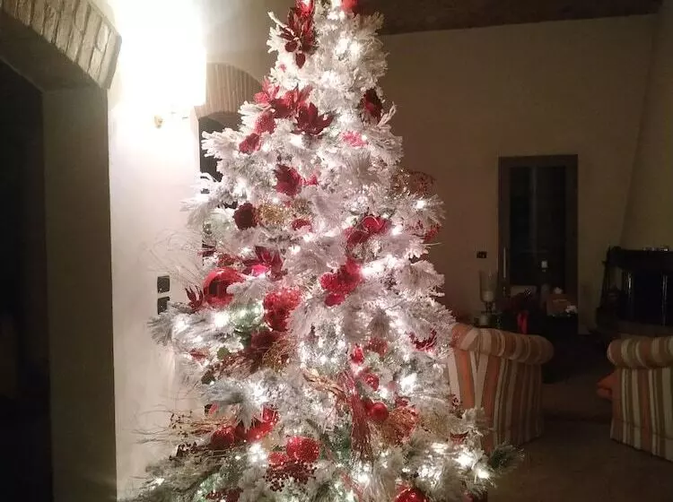 Villa Delle Palme B&b 5 Stelle