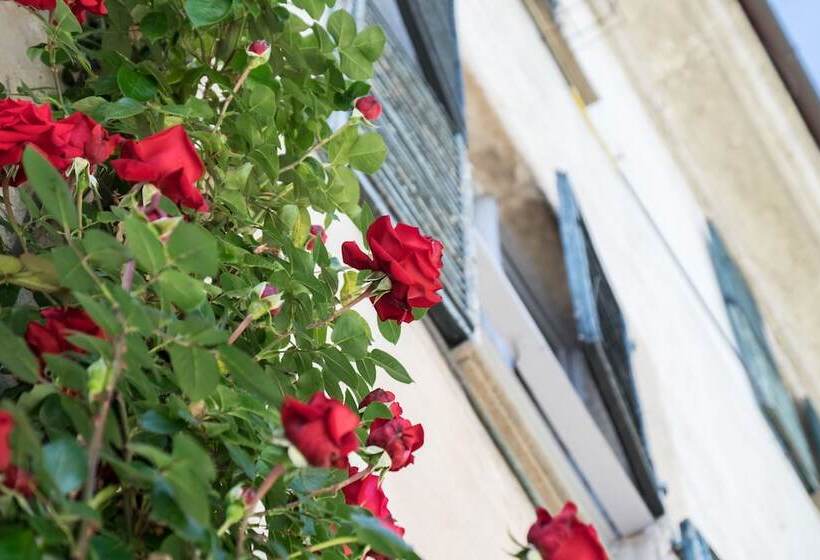 Bed and Breakfast Villa Rambaudi