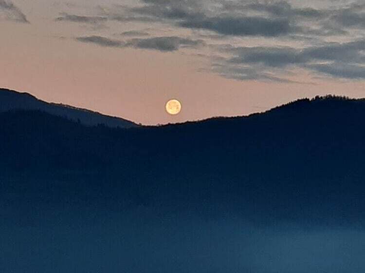 פונדק Country Residence Turicchi