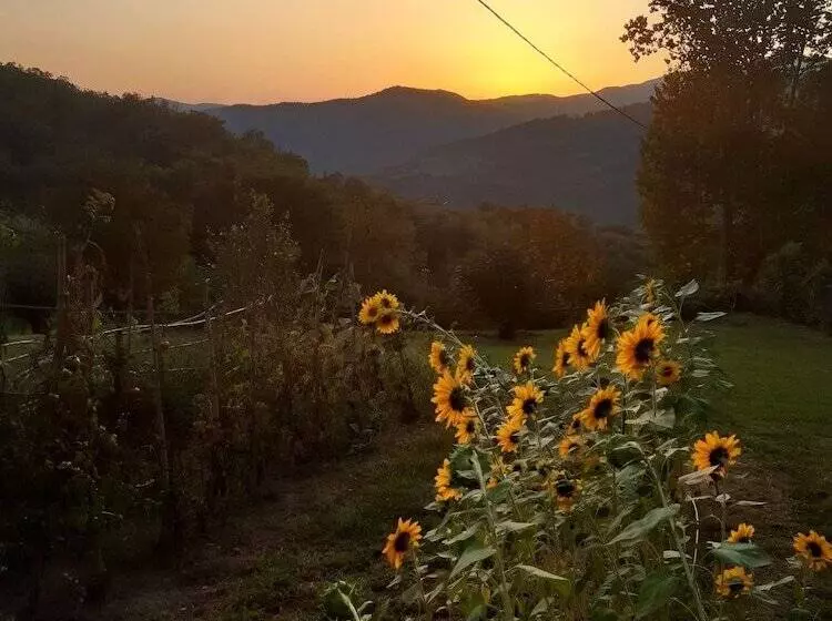 Hostelli Country Residence Turicchi