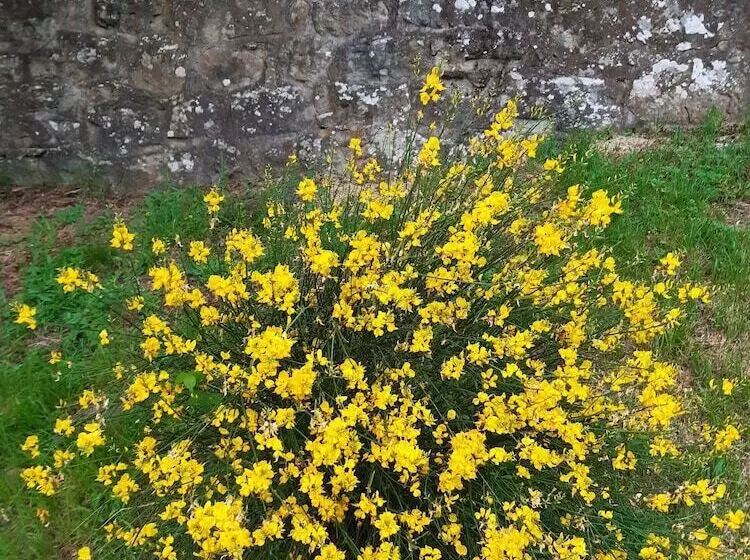 Hostelli Country Residence Turicchi