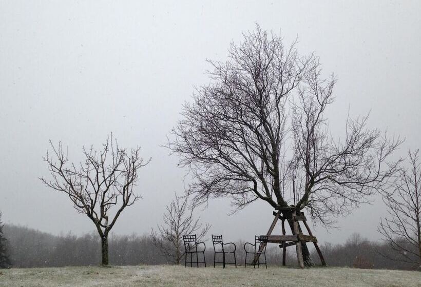 乡村酒店 Agriturismo La Casina Della Burraia