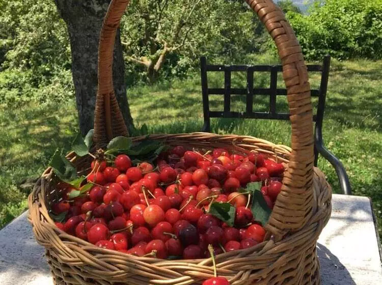 田舎風ホテル Agriturismo La Casina Della Burraia