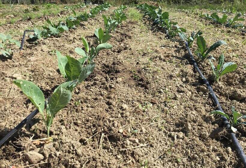 乡村酒店 Agriturismo La Casina Della Burraia