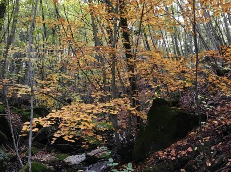 乡村酒店 Agriturismo La Casina Della Burraia