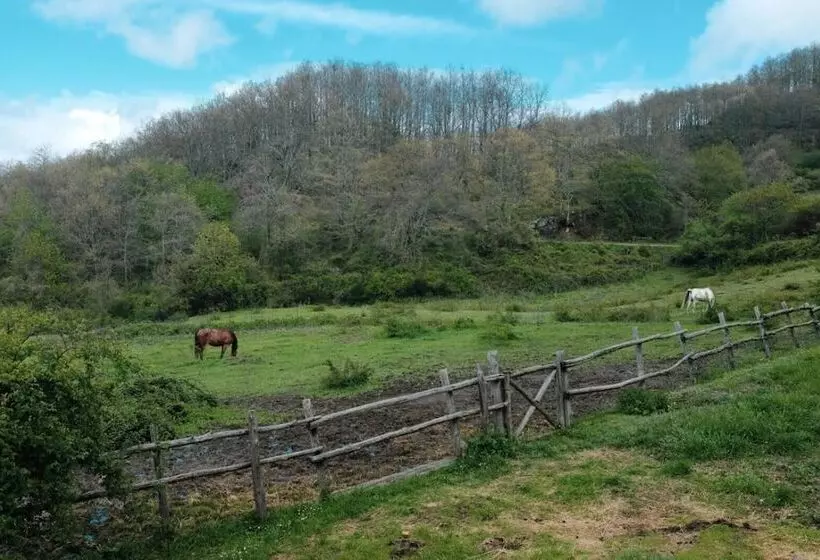 田舎風ホテル Agriturismo La Casina Della Burraia