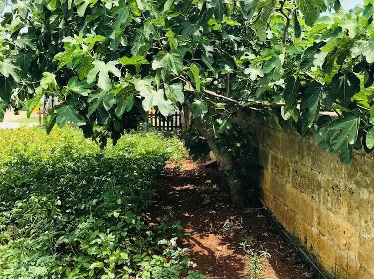 ペンション Mondoverde B&b
