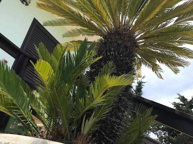 Пансион Mondoverde B&b