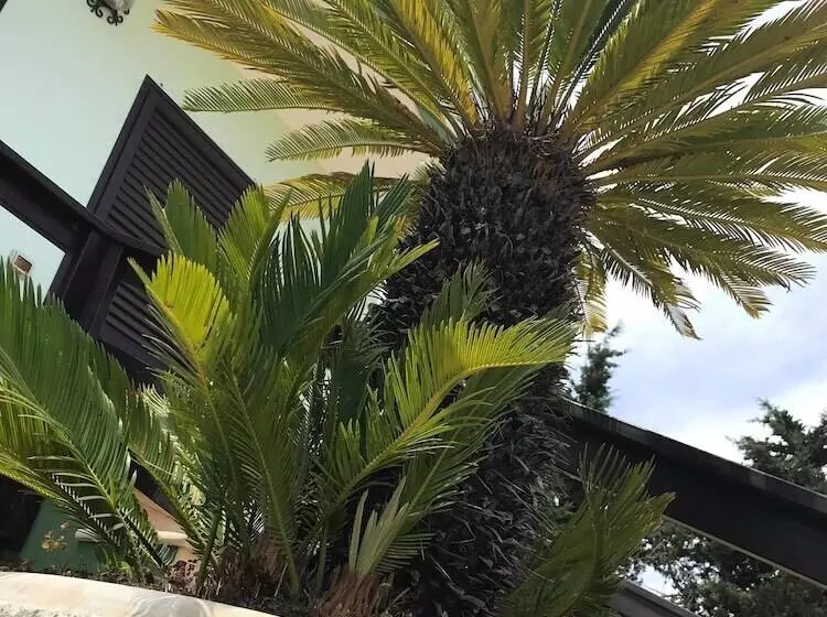 ペンション Mondoverde B&b