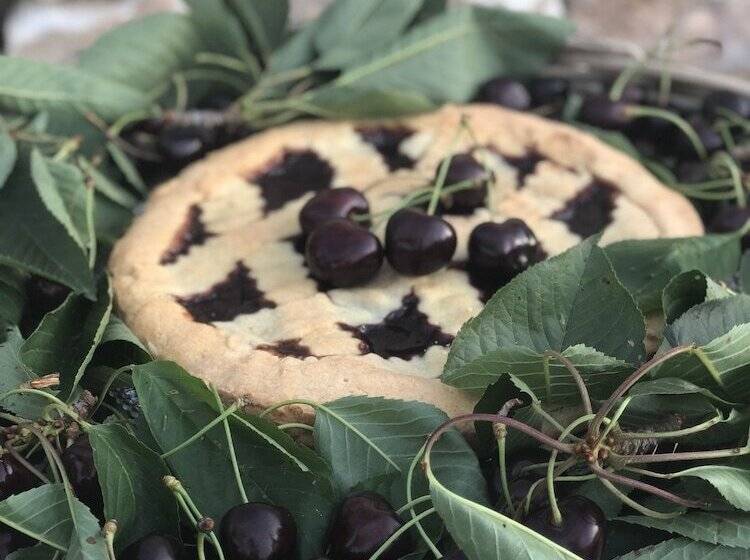 צימר Dimora Le Ginestre Adults Only