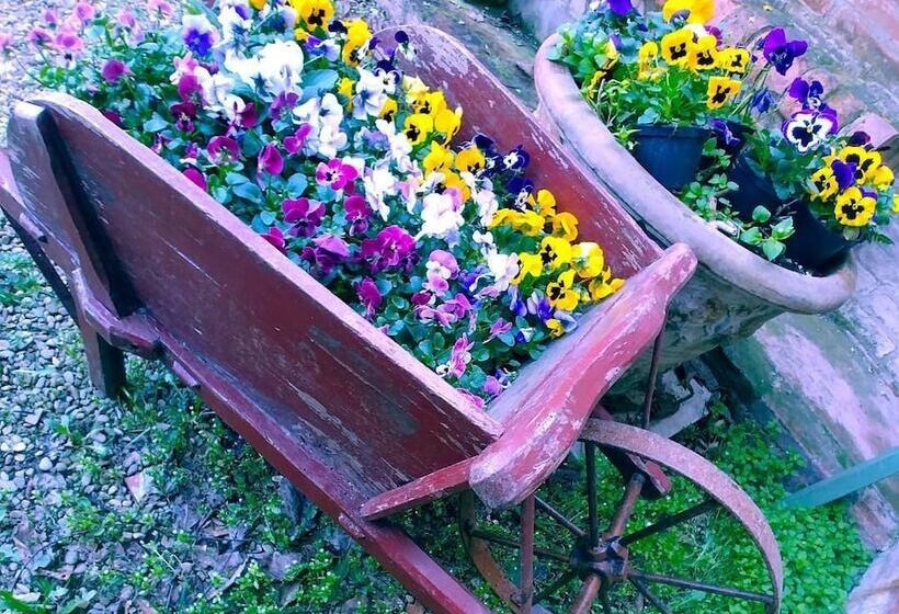 تختخواب و صبحانه Galluzzo Ancient Country Villa