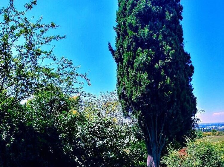 تختخواب و صبحانه Galluzzo Ancient Country Villa