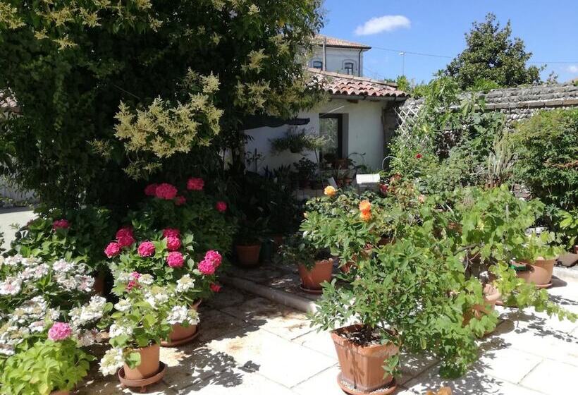 Bed And Breakfast Le Ortensie