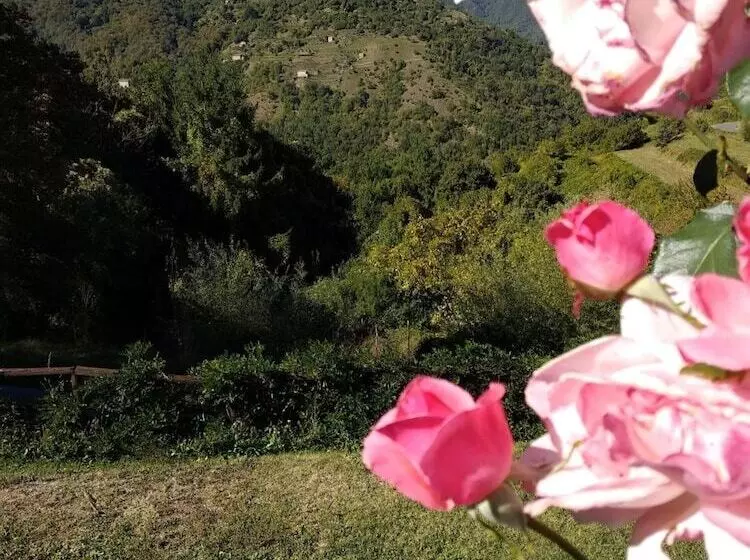 Maaseutuhotelli Agriturismo Summer