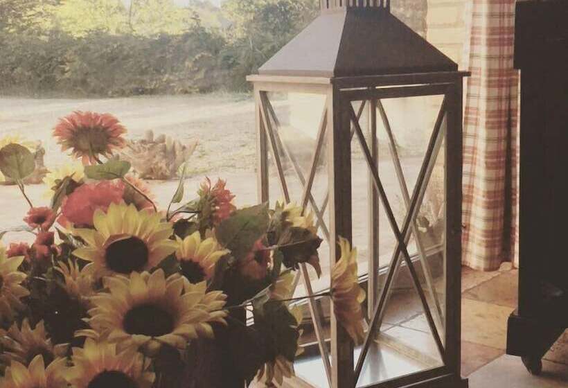 فندق ريفى La Valle