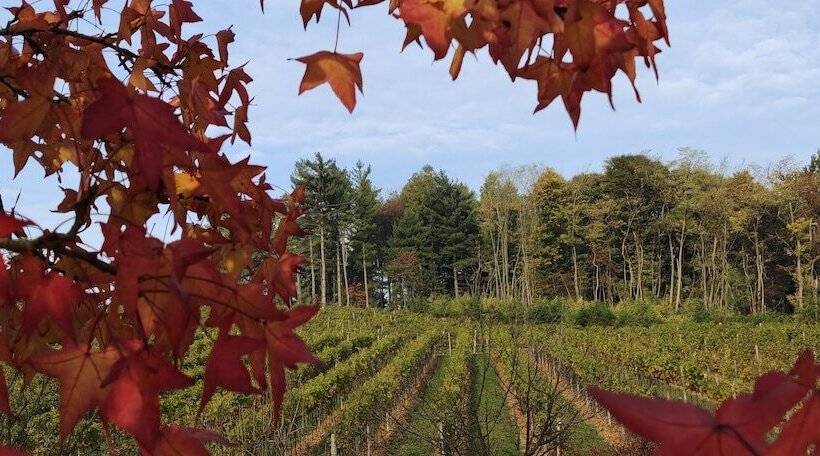 فندق ريفى La Valle