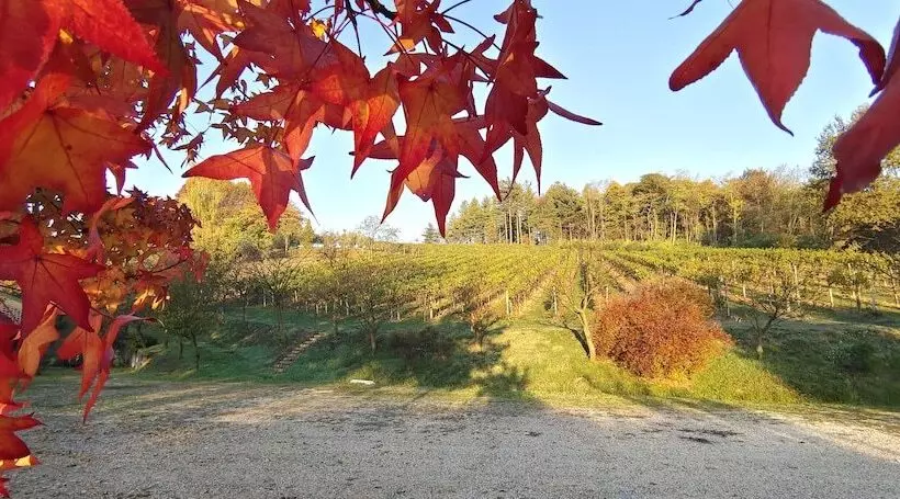 Maaseutuhotelli La Valle