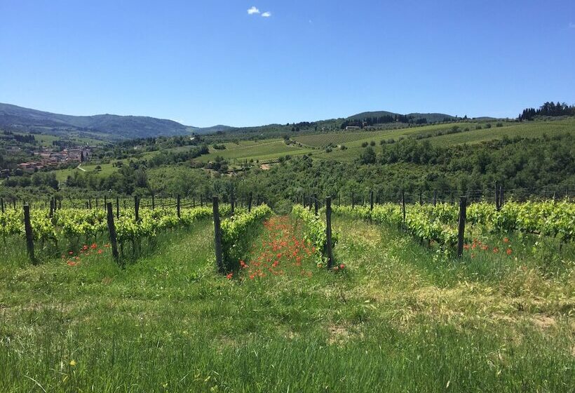 Pansiyon Lory S Home