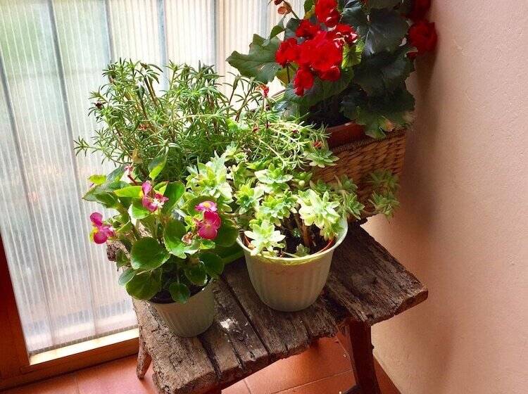 Pansiyon Lory S Home