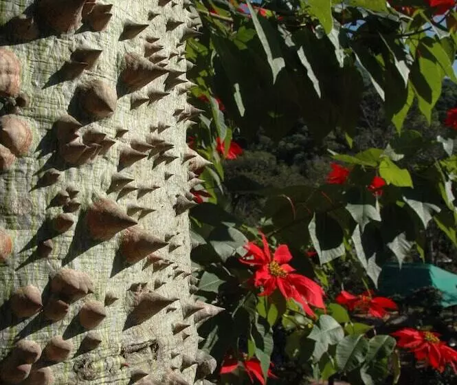 여관 Selva Montana