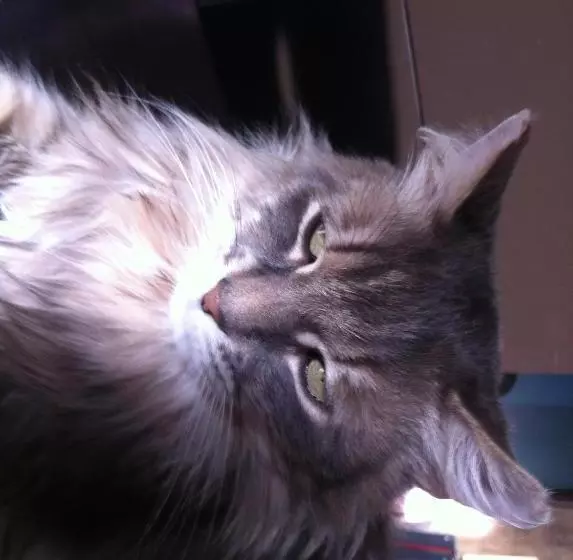 Отель Auberge Des Vieux Moulins Banaux