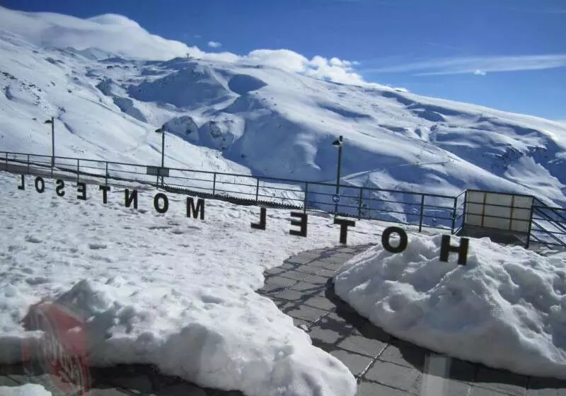 Отель Montesol Arttyco