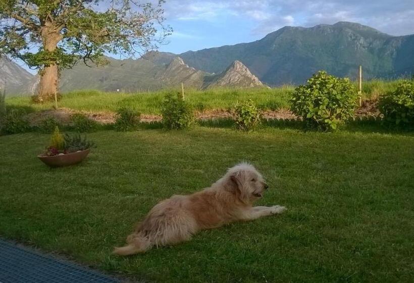 田舎風ホテル Mirador Del Sella