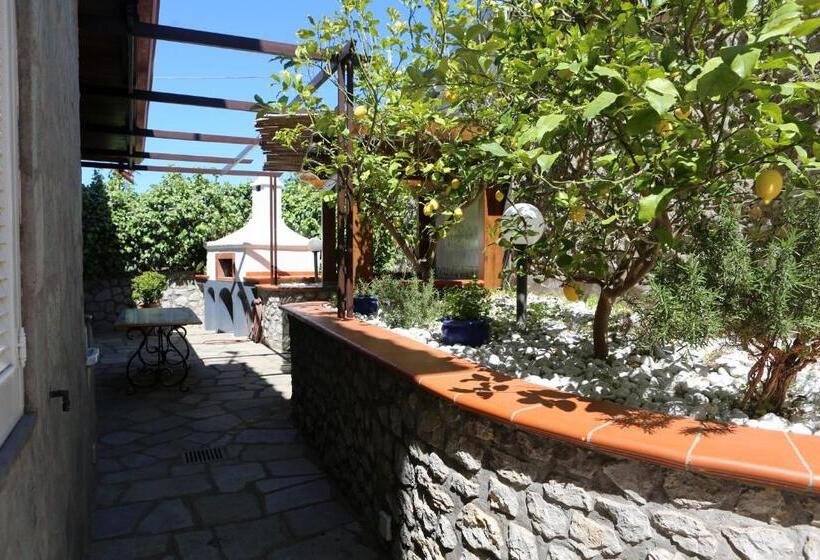 تختخواب و صبحانه La Cicas