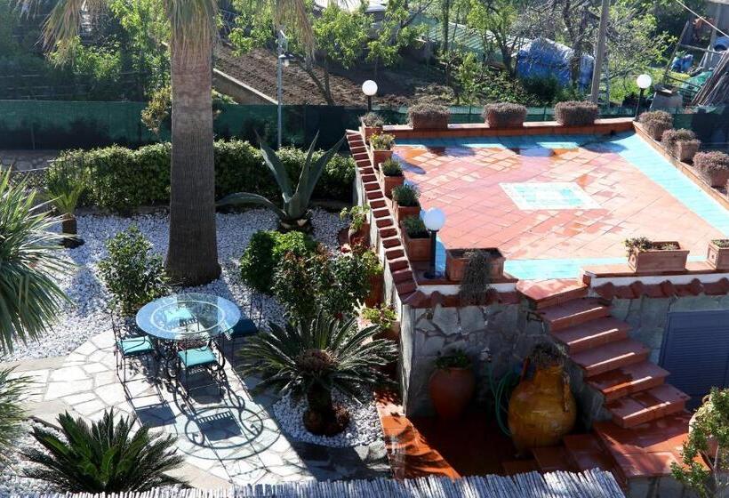 تختخواب و صبحانه La Cicas