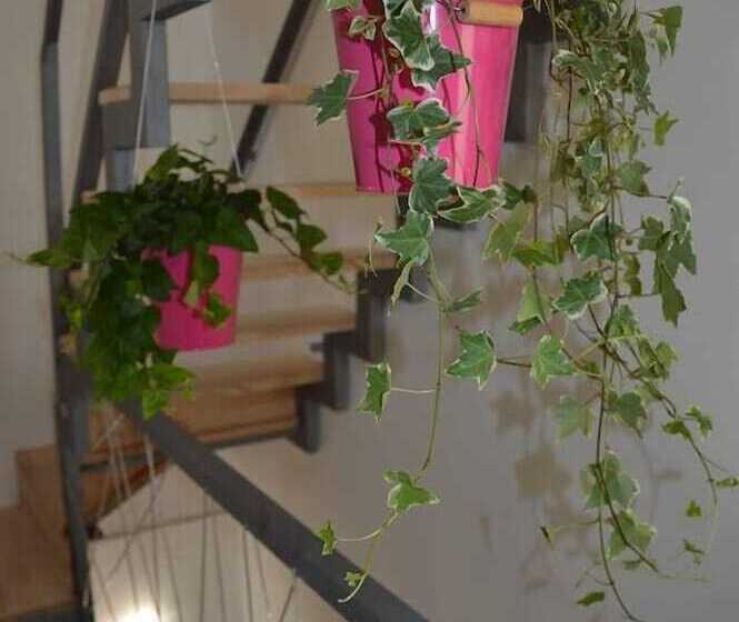 پانسیون Amunì