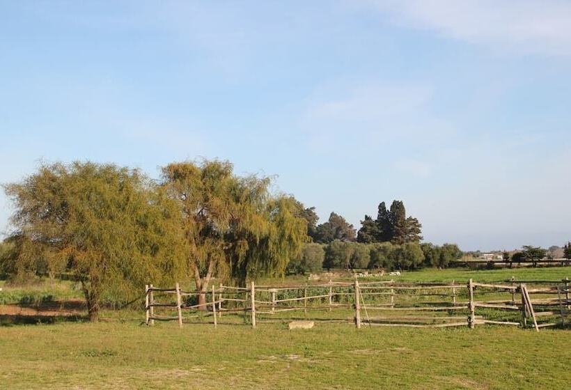 Pensjonat Podere San Martino