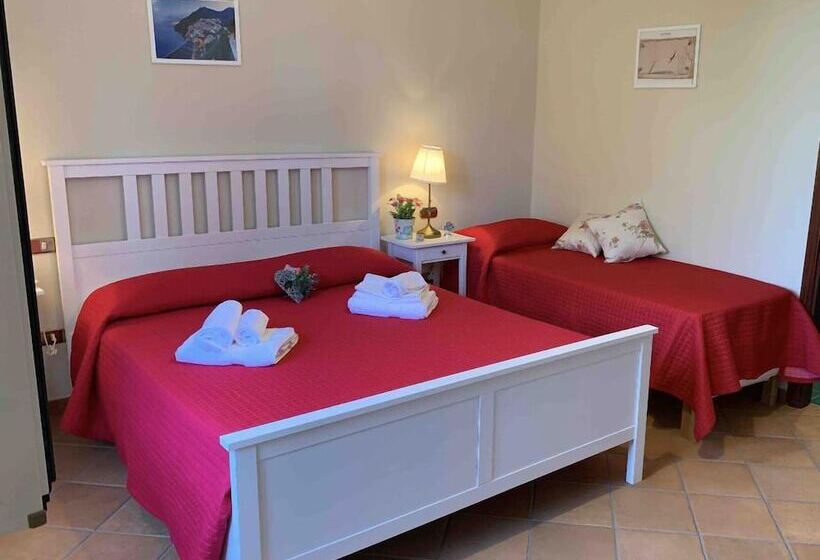 פנסיון Somnium