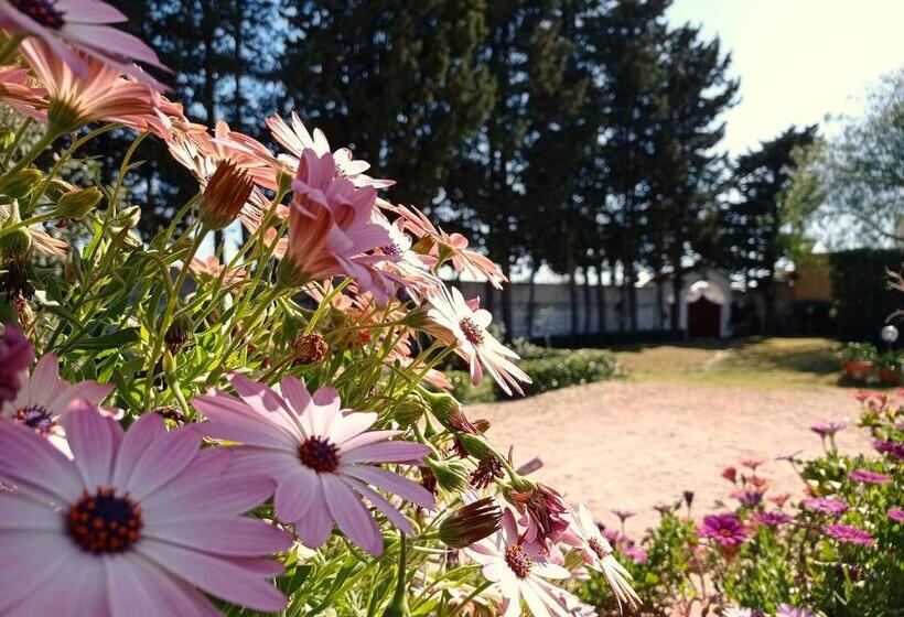 Bed and Breakfast Gli Archi Country Home