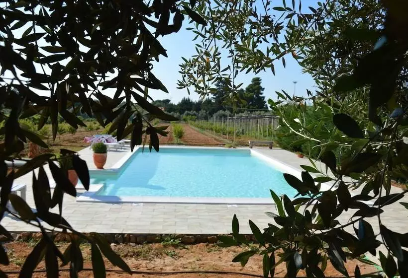 Bed And Breakfast Piano Del Re