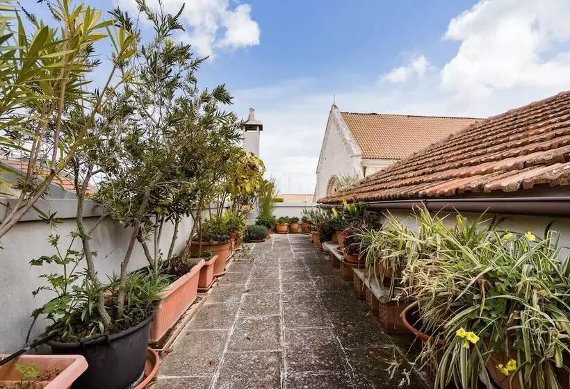 B&b Il Nido Delle Rondini