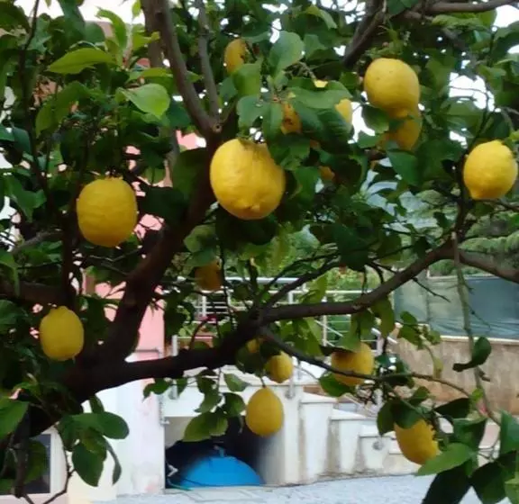 Aamiaismajoitus (B&B) 60quattro Bedrooms