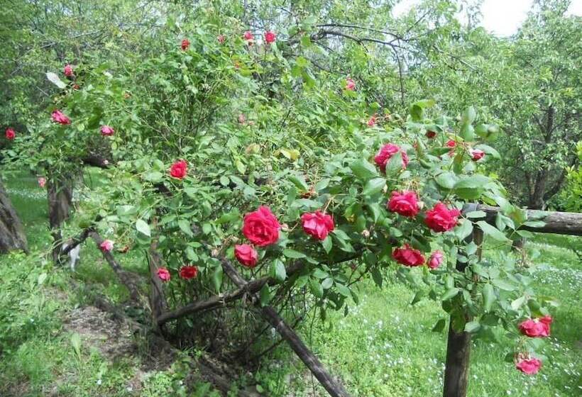 مبيت وإفطار Monpoupon