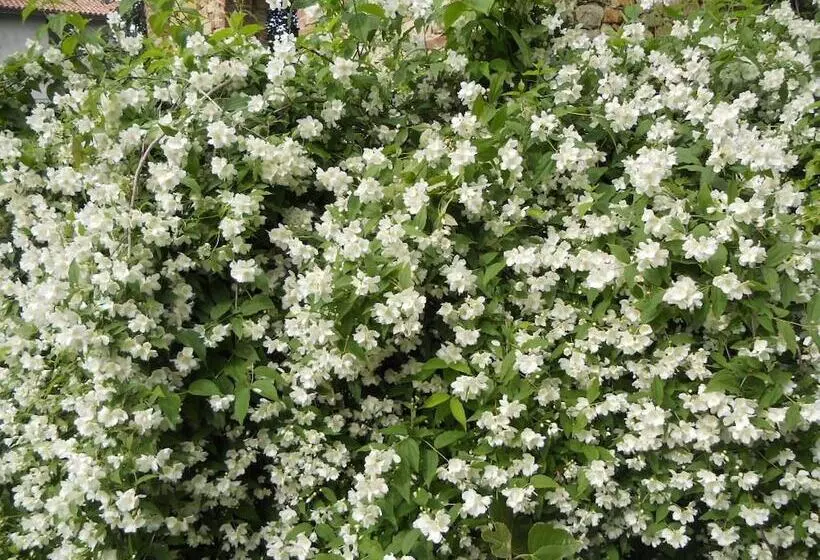 ベッドアンドブレックファースト Monpoupon