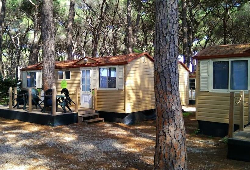 ホテル Camping Lo Ionio