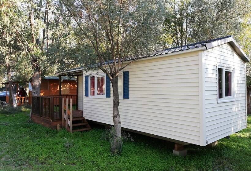 ホテル Camping Lo Ionio