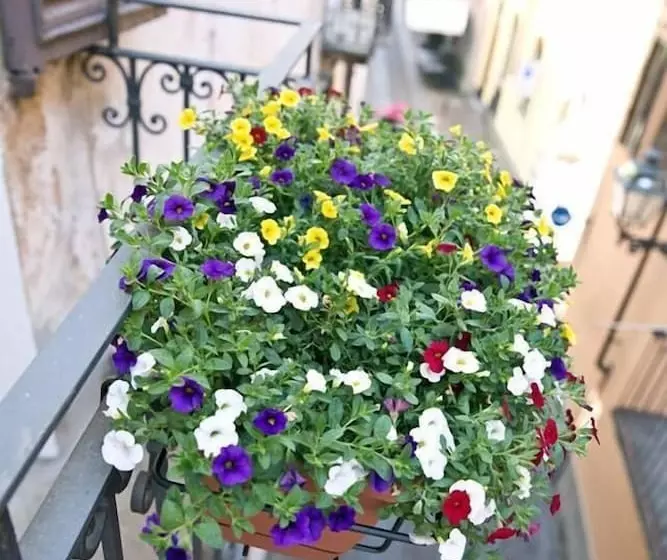 هتل Osteria Senza Fretta Affittacamere