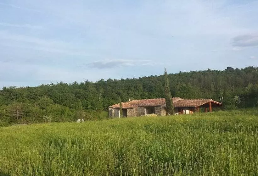 هتل روستایی Agricampeggio Madonna Di Pogi