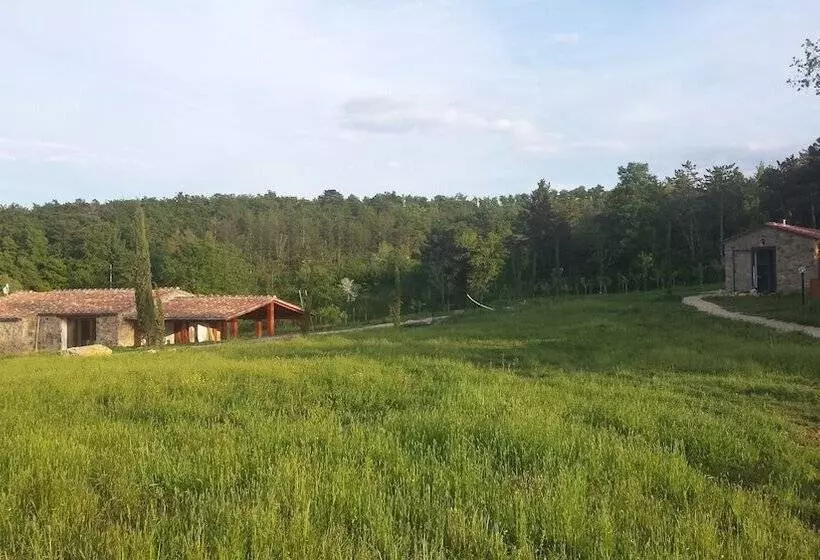 هتل روستایی Agricampeggio Madonna Di Pogi